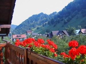 munte pensiune turism vacanta