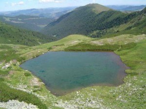 arii protejate