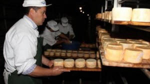 napolact fabrica branzeturi