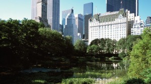 hotel-new york plaza central-park