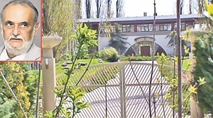 patriciu vila snagov