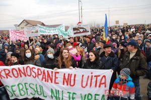 protest Sebes Kronospan