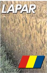 LAPAR