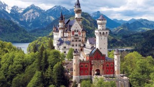 Bavaria mediu vacanta padure