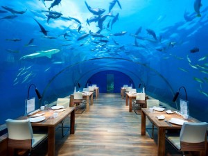 Conrad Maldives Rangali Island hotel sub apa