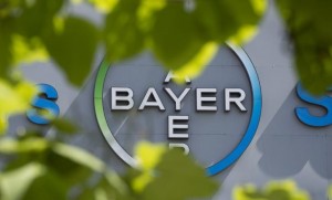 bayer
