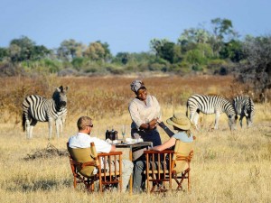 little-mombo-camp-botswana-okavango-delta