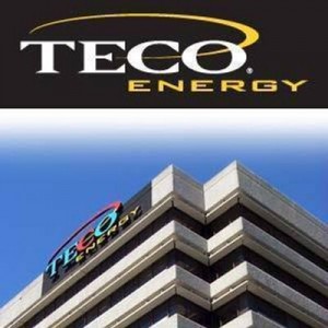 Teco Energy