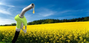biodiesel