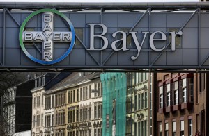bayer