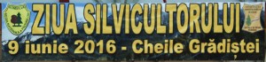 ziua-silvicultorului-99684