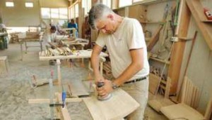 investitii neagricole