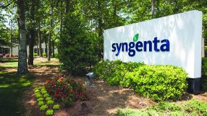 syngenta