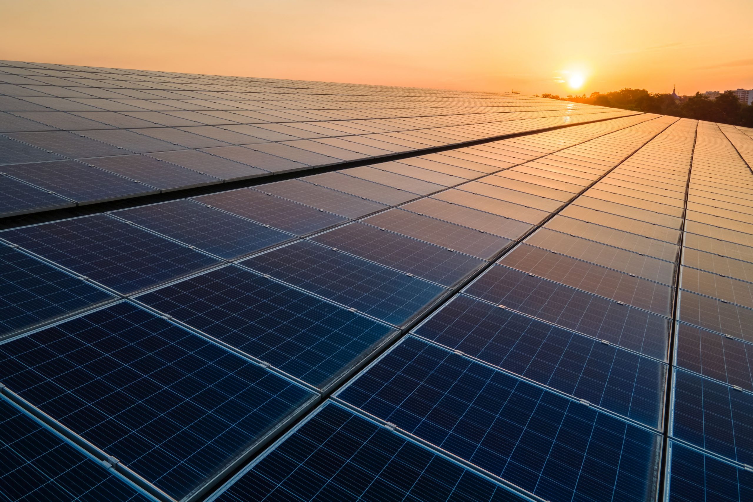 Enel Green Power realizza in Italia un impianto agrivoltaico da 170 MW